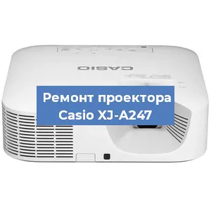 Замена матрицы на проекторе Casio XJ-A247 в Воронеже